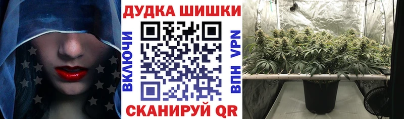 Где найти наркотики Нововоронеж КОКАИН  СК  МАРИХУАНА 