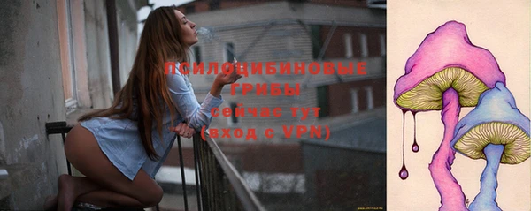 СК Осташков