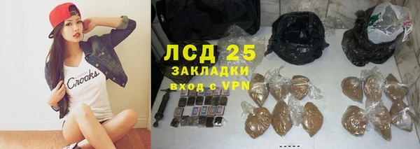 дживик Новозыбков