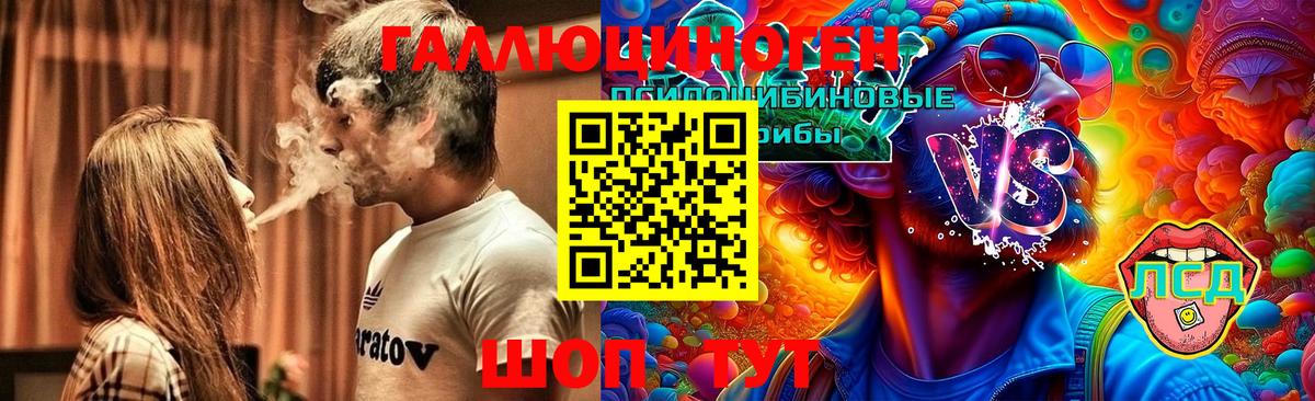 где купить наркоту  Нововоронеж  Галлюциногенные грибы GOLDEN TEACHER 