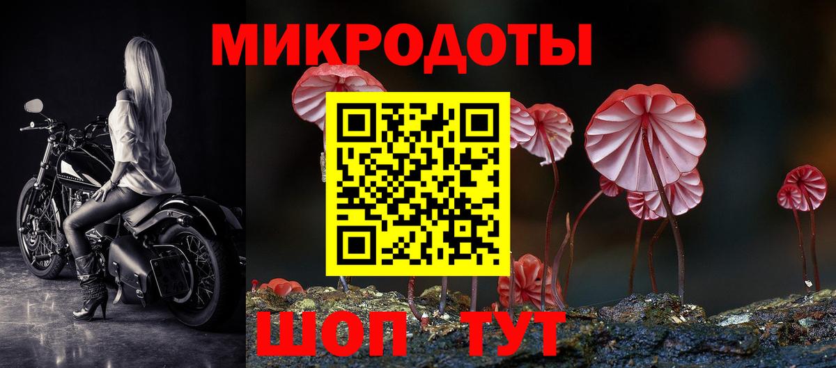 Псилоцибиновые грибы Psilocybine cubensis Нововоронеж
